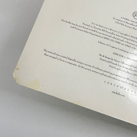 2/$6 You’re Here for a Reason book by Nancy Tillman (Board Book) - Picture 2 of 12